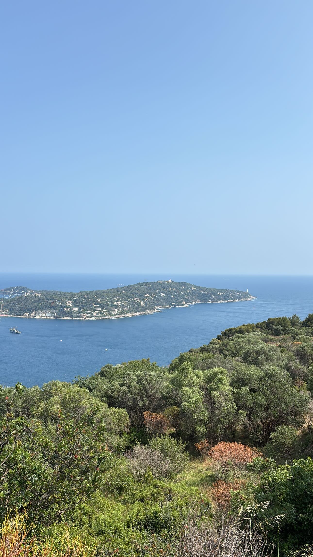 Une signature née de la côte